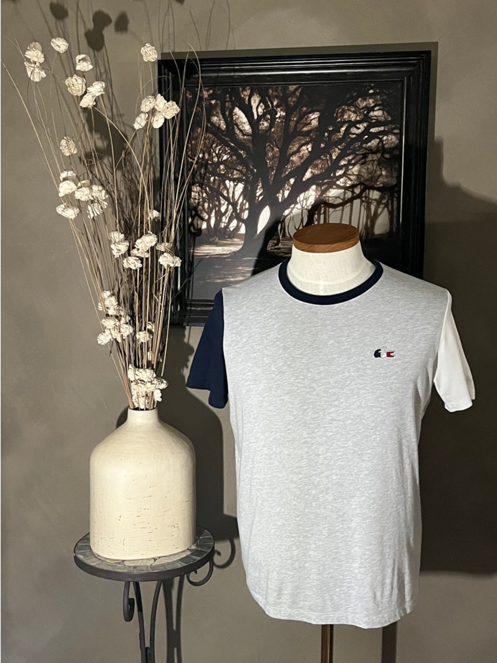 Lacoste Sport French Sporting Spirit Colorblock Tricolor Crocodile T-Shirt